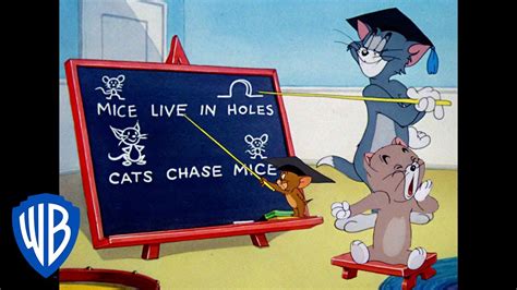 However, you can help the tom and jerry wiki by expanding it and/or providing a source of official information for this article. Tom und Jerry auf Deutsch | Eine Lektion von Professor Tom ...