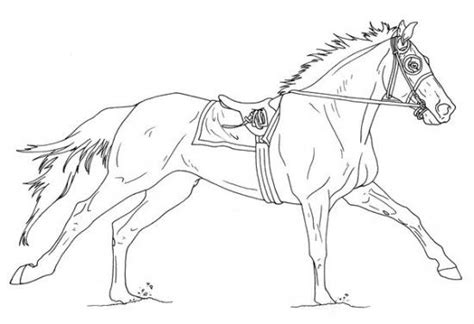 Printable dressage horse coloring page. Pin on Color: Horses Competition