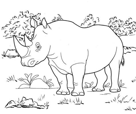 Beetlejuice's appearance is consistent with what a deceased corpse generally looks like: #Rhino #Animal #Wildlife in 2020 | Coloring pages, Animal ...