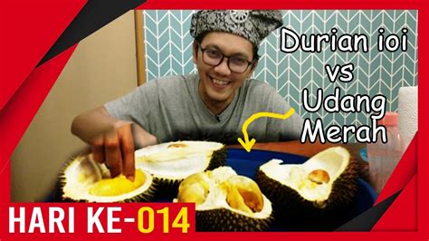 Durian merah atau duren abang (dubang) merah dari pedalaman banyuwangi yang langka durian merah banyuwangi. Durian Udang Merah vs Durian 101 apa beza? - YouTube