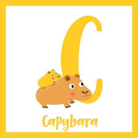 Последние твиты от carpincho en cuarentena (@carpincheros). Vocabulario de letras C Carpincho madre e hijo. Tarjeta ...