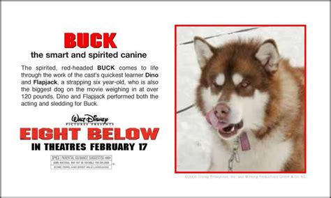 This movie offers a wonderful story about eight brave and stalwart creatures that are. film eight below