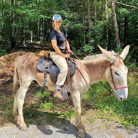 In which they captivate us with their skills as a rider with their clothes with classic boots riding pants and their. Pin on Riding Donkeys