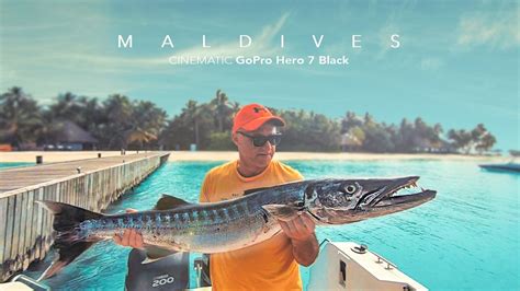 Enjoy and feel the difference. WE CAUGHT A BARRACUDA!!! Maldives Fishing - YouTube