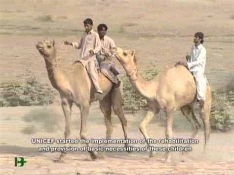 About examples terms privacy & cookie policy. Camel Jockey Documentary - YouTube