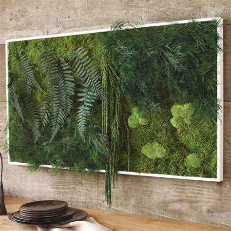 Shop allmodern for modern and contemporary framed wall art to match your style and budget. Fern And Moss Wall Art - The Green Head