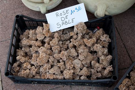 Laboratory tests indicate that camel's urine contains potassium, albuminous proteins and small amounts of uric acid, sodium and creatinine. Menton Daily Photo: Sand Roses