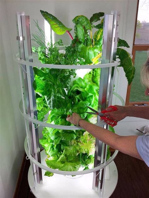 Olive garden specializes in family style italian food that is hearty, filling, and delicious. Eat lettuce fresh homegrown all winter | Tower garden ...