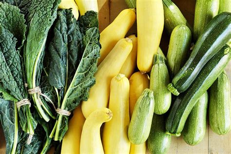 Here's one possible reason why you're getting a small yield of this popular summer squash. Growing Zucchini and Summer Squashes