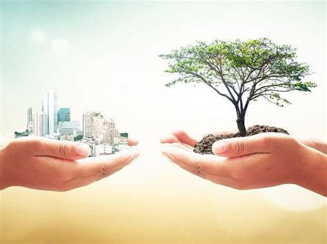 Covid will hamper progress towards sustainable development goals: Vardhan | Business Standard News