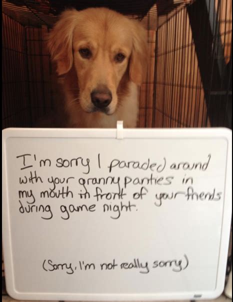 Trending newest best videos length. I'm sorry I paraded around with your granny panties in my ...