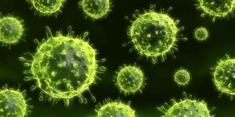 We did not find results for: Ice Caps Melt, Prehistoric Virus Escapes. No, It's Not a ...