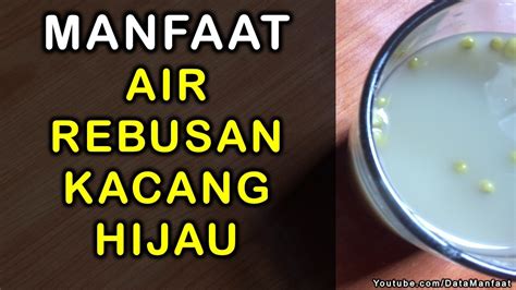 Degan mengkonsumsi air rebusan atau jus dari daun gedi. Manfaat Dan Khasiat Air Rebusan Kacang Hijau Untuk ...