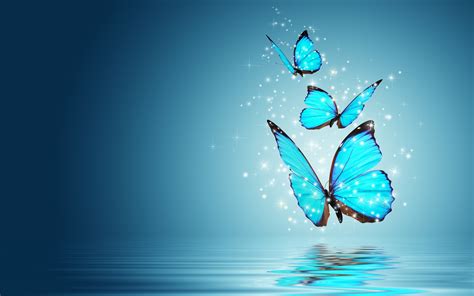 Cute desktop wallpapers by canva. Beautiful Butterflies Wallpapers, Pictures, Images