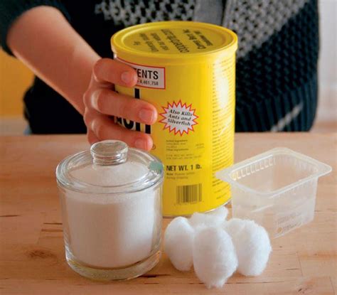 He kindly gave me this link (i forgot to take a picture of the ant before removing). This Simple DIY Ant Trap Will Solve Your Ant Problem (With ...