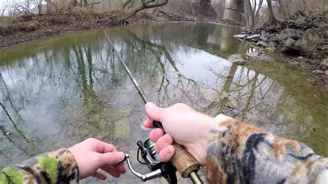 Freelance fishing and guide service regularly schedules custom trout fishing trips to meet the needs of both the beginning fisherman and the seasoned pro. Trout Fishing With SPINNERS - West Virginia - YouTube