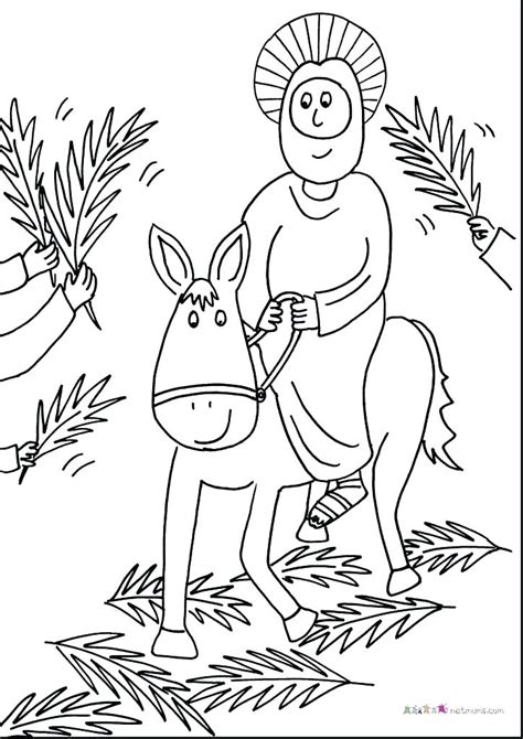 God created light as the first object he created on the first day. Creation Coloring Pages For Preschoolers at GetDrawings ...