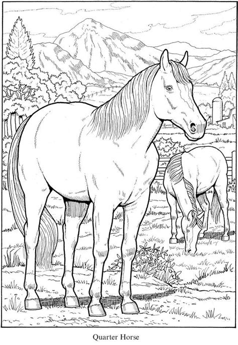 Discover our coloring pages of horses to print and color for free ! Quarter Horse Coloring Page - youngandtae.com | Horse ...