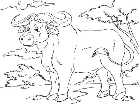 Wild asian water buffalo coloring page from water buffaloes category. African Buffalo coloring page - Coloring Pages 4 U