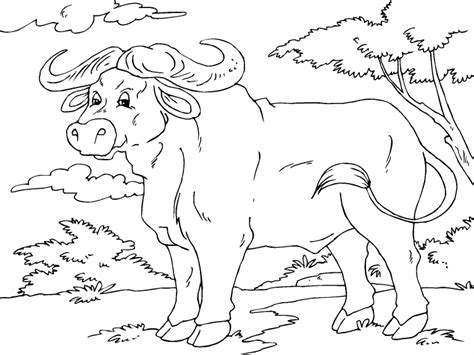 Push pack to pdf button and download pdf coloring book for free. African Buffalo coloring page - Coloring Pages 4 U