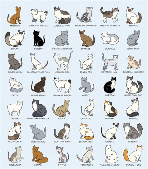 Cat breeds differ in looks, coat length, and other characteristics but vary relatively little in size. Pin by Дарья on DaryArt | Cat breeds chart, Cats ...