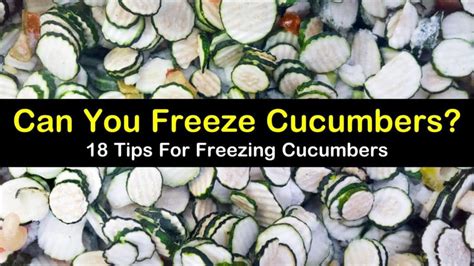 See full list on wikihow.com Yes You Can Freeze Cucumbers - 18 Tips for Freezing Cucumbers