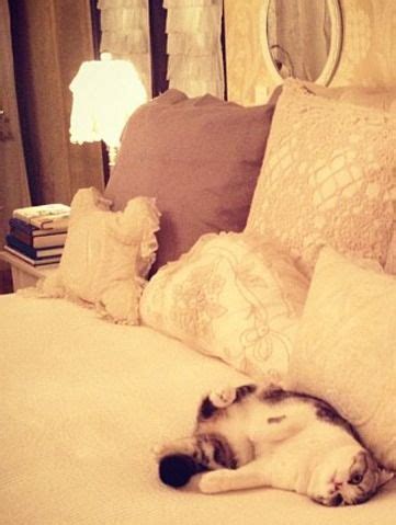 Check spelling or type a new query. Taylor Swift's Bedroom: Take a Look Inside | Taylor swift ...