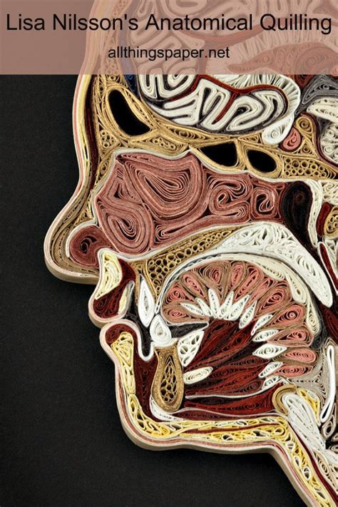 Nilsson fick ett stort genombrott med sitt tredje album himlen runt hörnet 1992. Quilled Tissue Series - Lisa Nilsson in 2020 | Anatomy art ...