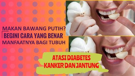 Mungkin cara makan bawang putih ini tidak biasa bagi anda, tapi mengolah bawang dengan memasaknya justru akan menghilangkan berbagai nutrisi penting. BEGINI CARA MAKAN BAWANG PUTIH YANG BENAR, KHASIATNYA ...
