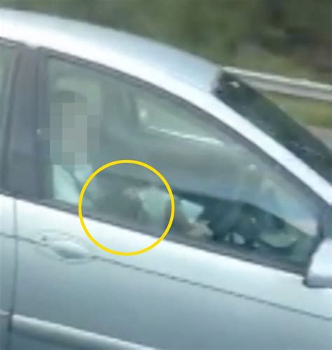 C(blow me one last kiss). Driver Caught on Camera 'Receiving a Blow Job' From ...