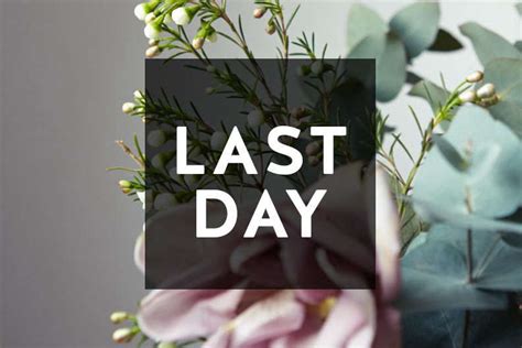 The last hours is a trilogy written by cassandra clare and is the sequel series to the infernal devices. Last Day to Enter Our Considered Design Awards - Gardenista