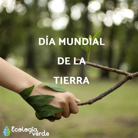 Reúne a millones de personas de todo el mundo para llamar la atención en nuestro caso, que tenemos en la cordillera una de las zonas más ricas del mundo en biodiversidad vegetal, la enseñanza es poner mucho más atención sobre su alta. Por qué se celebra el día de la Tierra