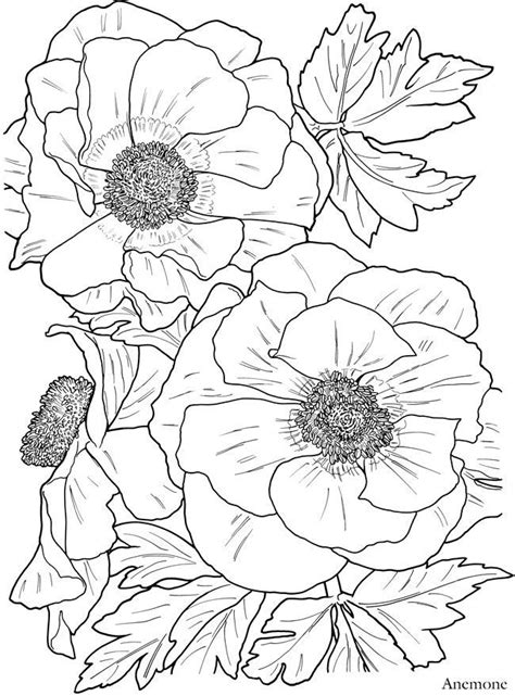Check spelling or type a new query. Dover Publications Sample: Creative Haven In Full Bloom ...