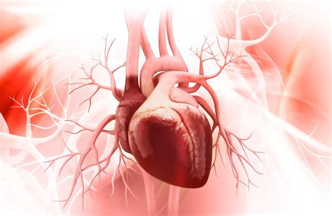 Use aclidinium(inhalation) exactly as directed on the label, or aclidinium is a powder that comes with a special inhaler device preloaded with measured doses of. Aclidinium Bromide Safe, Reduces Exacerbations in COPD ...