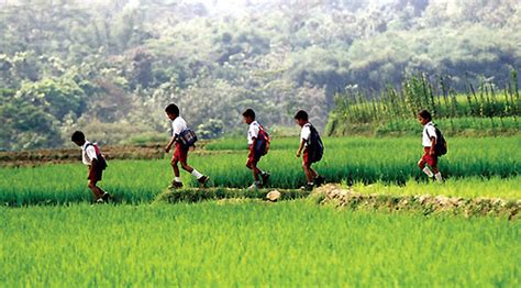 Keadaan rumah sepi dijadikan moment untuk berbuat mesum,lihat saja keseruannya. Seragam Smu Main Di Sawah | Video Bokep Ngentot