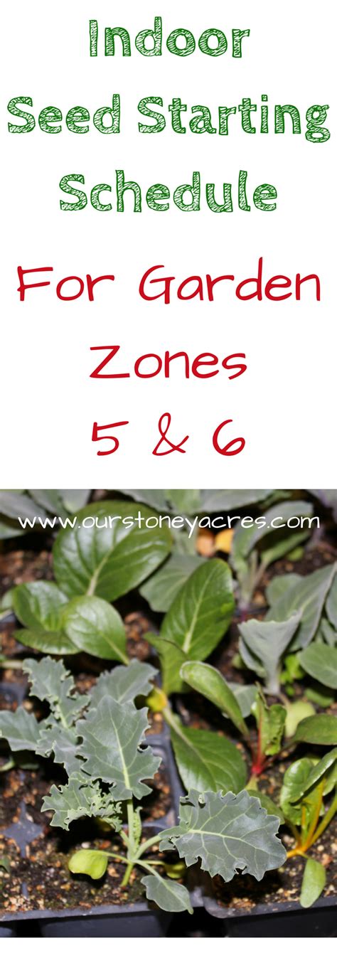 Find your planting zone with gilmour today! Zone 5/6 Seed Starting Schedule | Organic vegetable garden ...