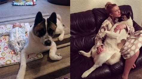 Uniquement des profils d'hommes, de femmes et de couples qui cherchent un plan cul juste pour le plaisir. Elle refuse d'éloigner son chien pendant la grossesse, et ...