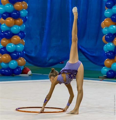 Instead we welcome donations to help support hosting costs. 20141115-_D8H1716 | 4th Rhythmic Gymnastics Tournament ...