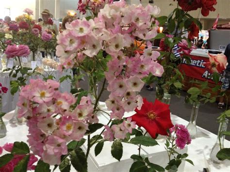 Richard was born on 25 july 1965 in. San Diego Fair (With images) | Flower show, Floral wreath ...