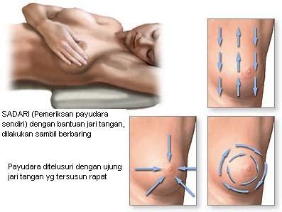 Rasa sakit yang anda rasakan di dada sebelah kiri yang sering hilang kemudian muncul lagi bisa jadi disebabkan karena berbagai faktor. KONSULTASI KEWANITAAN: PEMERIKSAAN PAYUDARA SENDIRI (SADARI)