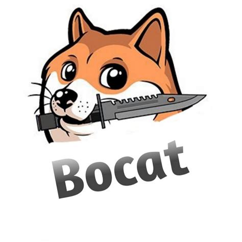 Here at bocat we have a firm understanding of both the construction industry and the technological infrastructures of modern society. Bocat - YouTube