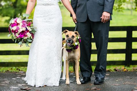 This item has been discontinued and we do not expect it to be wedding. 25 of the Cutest Wedding Dogs - Warrenwood Manor