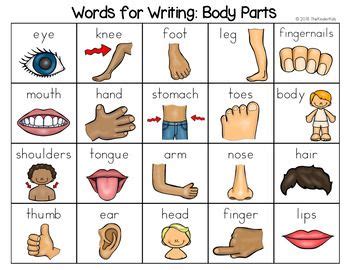 • different parts of the face with pictures. Pin on Writing lists