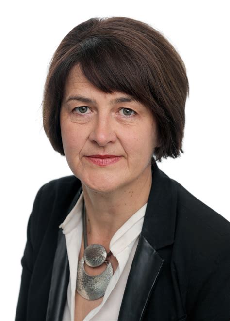 Her many film and television credits include men in black, forrest gump, snl, seinfeld, new in town, and wayward pines. she has done several foreign films including three with denmark's lars von trier in dancer dark, dogville and the house. Professor Siobhán Mullally - IHREC - Irish Human Rights ...