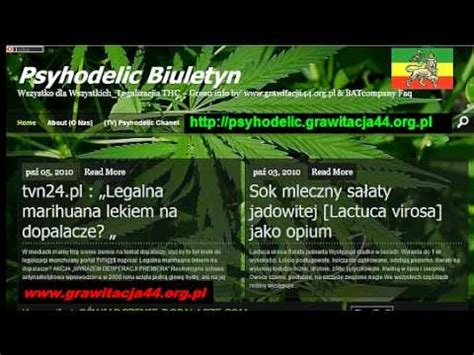24kz 31 канал 5 канал асыл арна казахстан. TVN24.pl o marihuanie i dopalaczach - YouTube