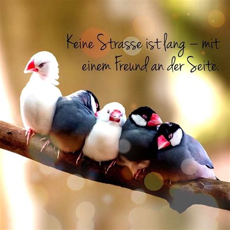 Maybe you would like to learn more about one of these? Keine Straße ist lang - mit einem Freund an der Seite. # ...