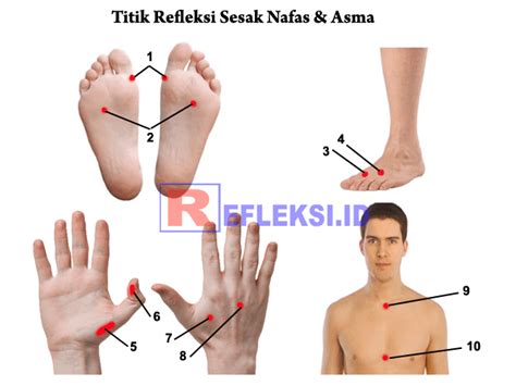 Cara urutan kaki untuk hilangkan rasa sakit dan lenguh ini dikongsi oleh sarifa redzuan boleh kita praktikkan di rumah. Titik Pijat Refleksi Untuk Mengobati Sesak Nafas Karena Asma