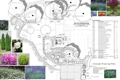 Six steps to a landscape design. residential planting plan | Landscape plans, Plant design ...