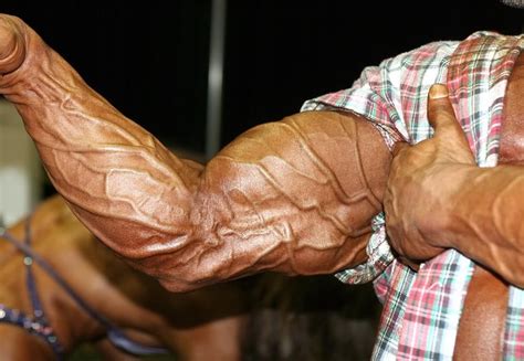 Get the rhythm of the ridge muscles as they wrap around the arm, from lateral epicondyle to thumb. How To Become More Vascular: The Ultimate Guide To Ripped ...