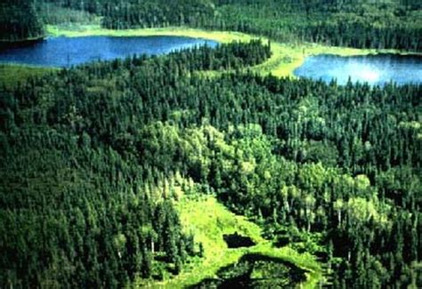 Bastow the canadian shield (fig. Climate - Boreal Shield